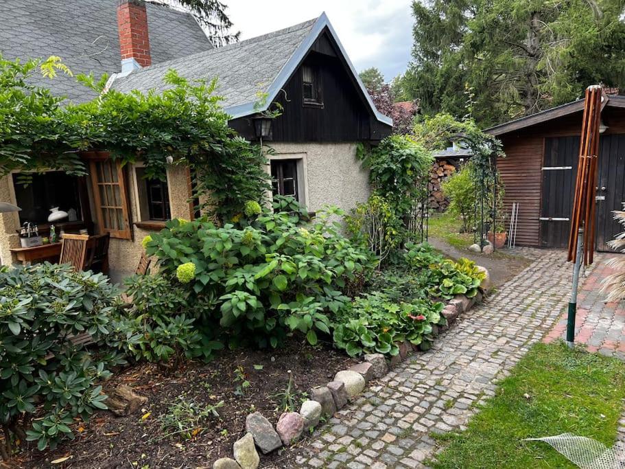 Apartment Mit Garten Michendorf