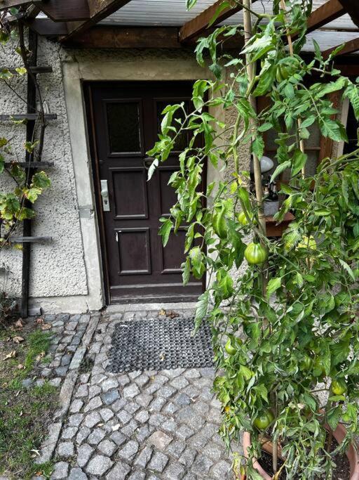 Mit Garten *