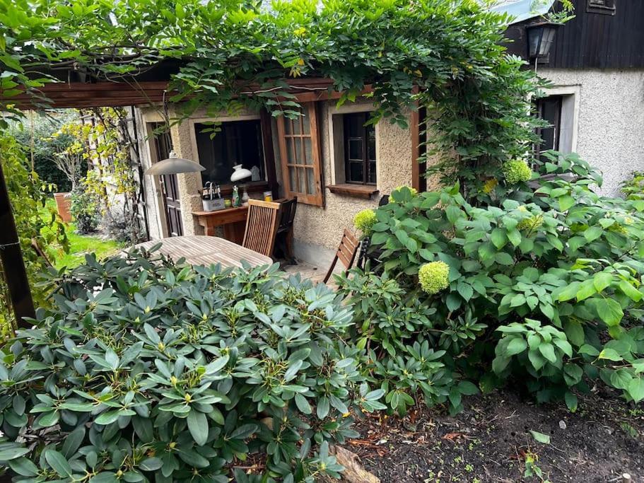 Mit Garten * Michendorf
